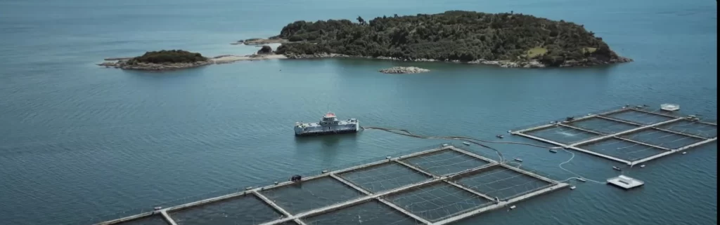 Ecmpo Fundación Nativa